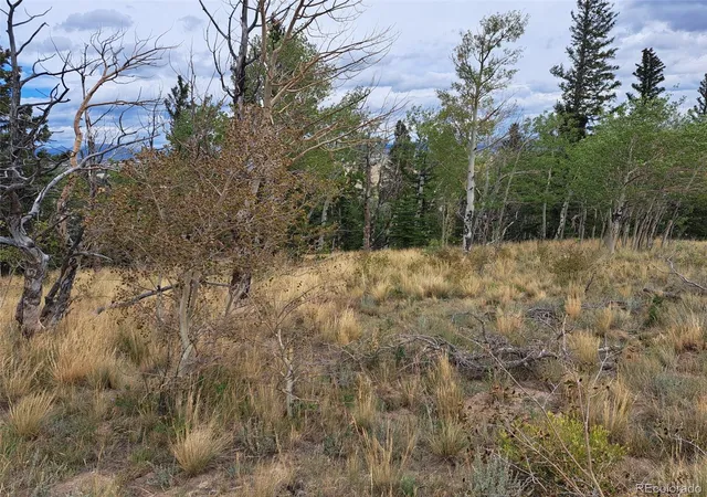 Photo 4 of Land for sale at 1844 High Crk Rd, Fairplay, CO 80440 | MLS# 3566720 | Listing updated on 2026-09-03