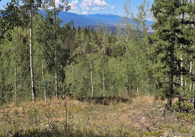 Photo 2 of Land for sale at Lot 6174 Forbes Rd, San Luis, CO 81152 | MLS# 2954813 | Listing updated on 2026-09-03