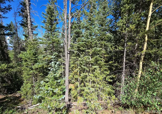 Photo 4 of Land for sale at Lot 6174 Forbes Rd, San Luis, CO 81152 | MLS# 2954813 | Listing updated on 2026-09-03