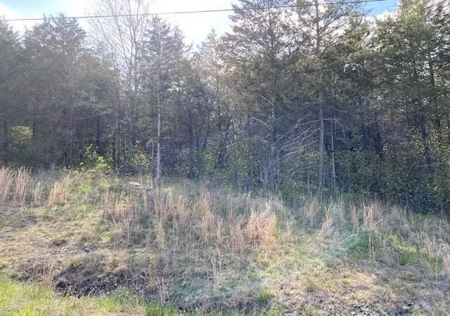 Photo 1 of Land for sale at 119 Thunderbird Dr #7, Holiday Island, AR 72631 | MLS# 1247316 | Listing updated on 2026-09-09
