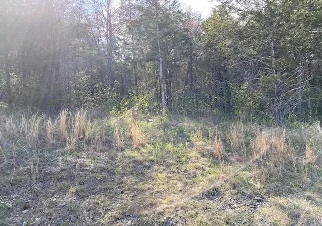Photo 2 of Land for sale at 119 Thunderbird Dr #7, Holiday Island, AR 72631 | MLS# 1247316 | Listing updated on 2026-09-09
