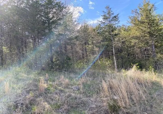 Photo 3 of Land for sale at 119 Thunderbird Dr #7, Holiday Island, AR 72631 | MLS# 1247316 | Listing updated on 2026-09-09