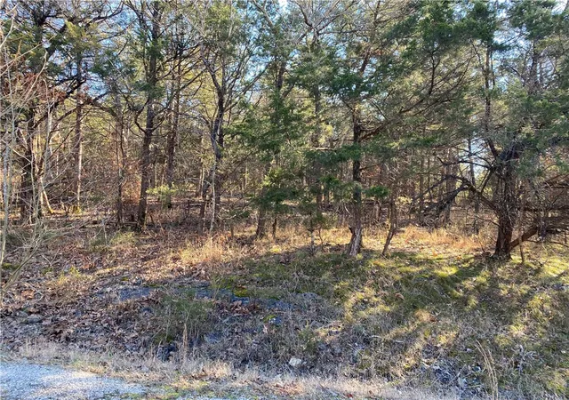 Photo 1 of Land for sale at 14 Hillside Dr #10, Holiday Island, AR 72631 | MLS# 1248061 | Listing updated on 2026-09-09