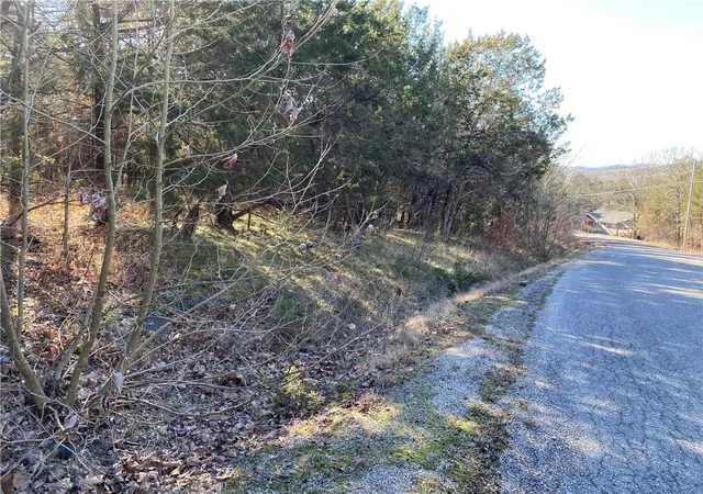 Photo 3 of Land for sale at 14 Hillside Dr #10, Holiday Island, AR 72631 | MLS# 1248061 | Listing updated on 2026-09-09