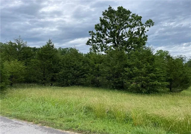 Photo 3 of Land for sale at 39 Bandy Dr #110, Holiday Island, AR 72631 | MLS# 1265463 | Listing updated on 2026-09-14