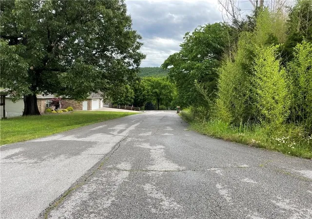 Photo 4 of Land for sale at 39 Bandy Dr #110, Holiday Island, AR 72631 | MLS# 1265463 | Listing updated on 2026-09-14