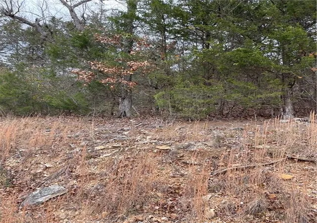 Photo 3 of Land for sale at 86 Valley Dr #4, Holiday Island, AR 72631 | MLS# 1265589 | Listing updated on 2026-09-14