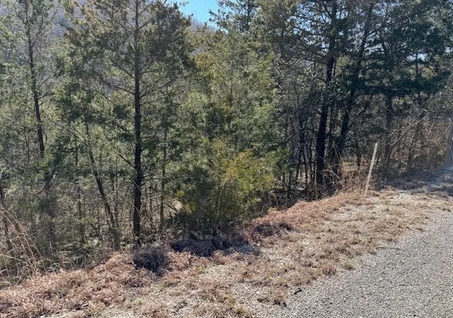 Photo 2 of Land for sale at 15 Mohawk Ln #12, Holiday Island, AR 72631 | MLS# 1269824 | Listing updated on 2026-09-11