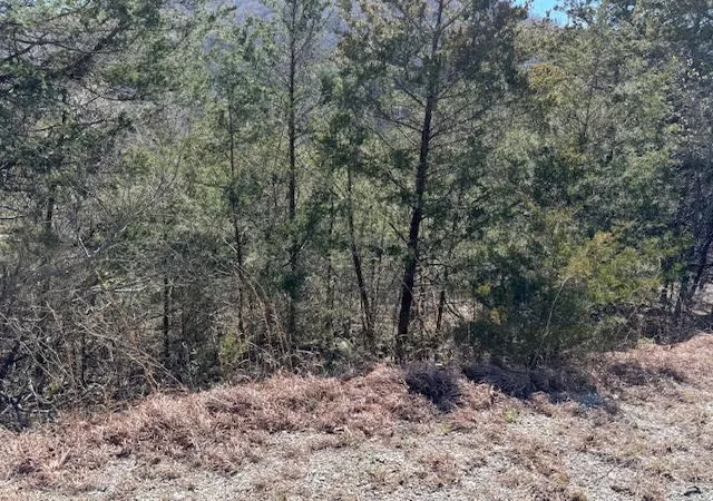 Photo 3 of Land for sale at 15 Mohawk Ln #12, Holiday Island, AR 72631 | MLS# 1269824 | Listing updated on 2026-09-11