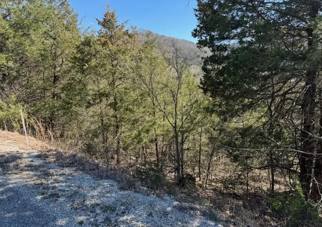 Photo 3 of Land for sale at 15 Mohawk Ln #12, Holiday Island, AR 72631 | MLS# 1269824 | Listing updated on 2026-09-11