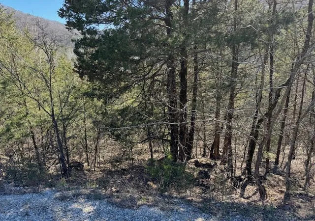 Photo 4 of Land for sale at 15 Mohawk Ln #12, Holiday Island, AR 72631 | MLS# 1269824 | Listing updated on 2026-09-11