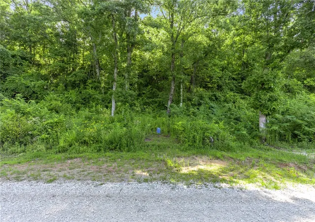 Photo 2 of Land for sale at Lot 6 Peaceful Pl, Yellville, AR 72687 | MLS# 1291631 | Listing updated on 2026-09-09