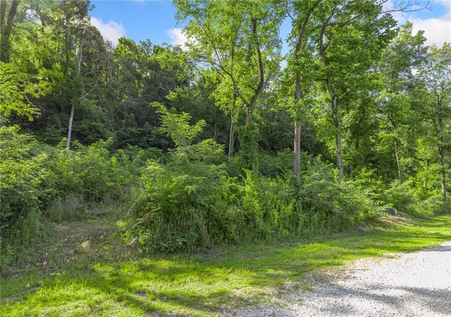 Photo 3 of Land for sale at Lot 7 Peaceful Pl, Yellville, AR 72687 | MLS# 1291642 | Listing updated on 2026-09-09