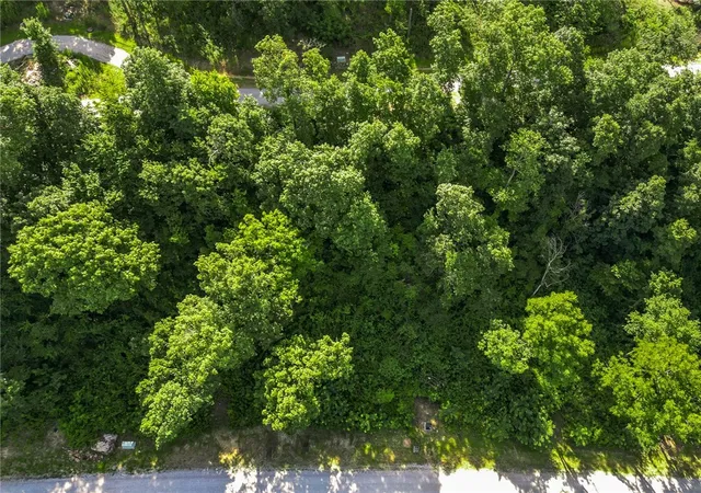 Photo 4 of Land for sale at Lot 7 Peaceful Pl, Yellville, AR 72687 | MLS# 1291642 | Listing updated on 2026-09-09