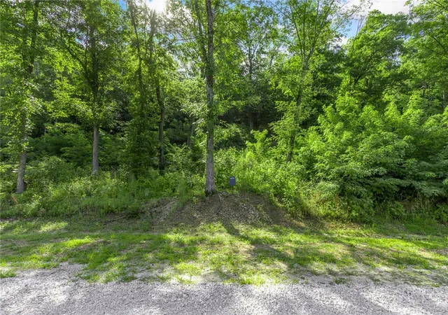 Photo 2 of Land for sale at Lot 8 Peaceful Pl, Yellville, AR 72687 | MLS# 1291692 | Listing updated on 2026-09-09