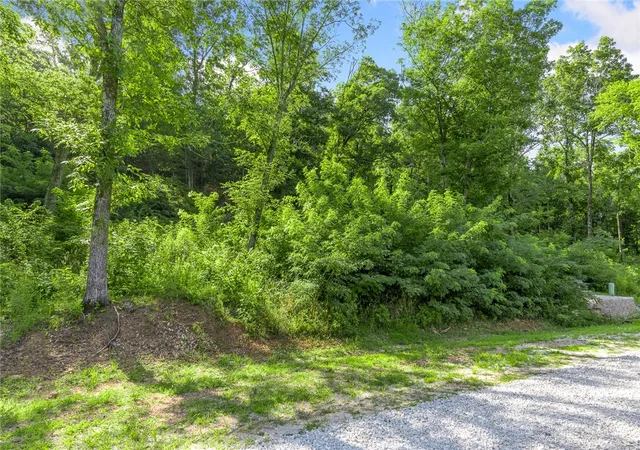 Photo 4 of Land for sale at Lot 8 Peaceful Pl, Yellville, AR 72687 | MLS# 1291692 | Listing updated on 2026-09-09