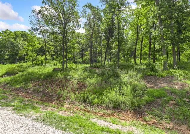 Photo 1 of Land for sale at Lot 58 Restore Ridge, Harrison, AR 72601 | MLS# 1291925 | Listing updated on 2026-09-09