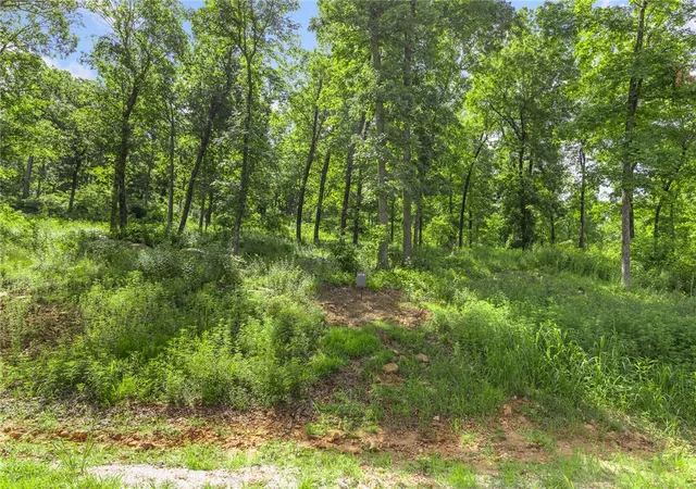 Photo 3 of Land for sale at Lot 58 Restore Ridge, Harrison, AR 72601 | MLS# 1291925 | Listing updated on 2026-09-09
