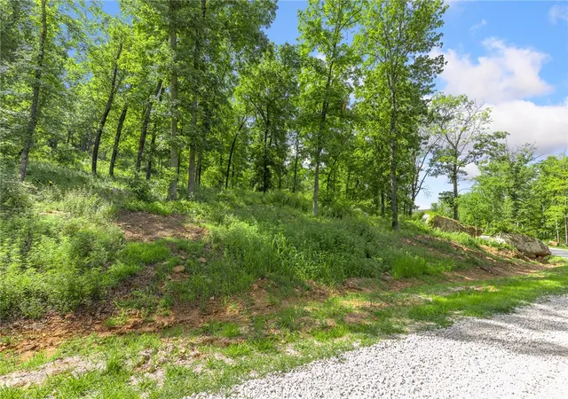 Photo 3 of Land for sale at Lot 58 Restore Ridge, Harrison, AR 72601 | MLS# 1291925 | Listing updated on 2026-09-09