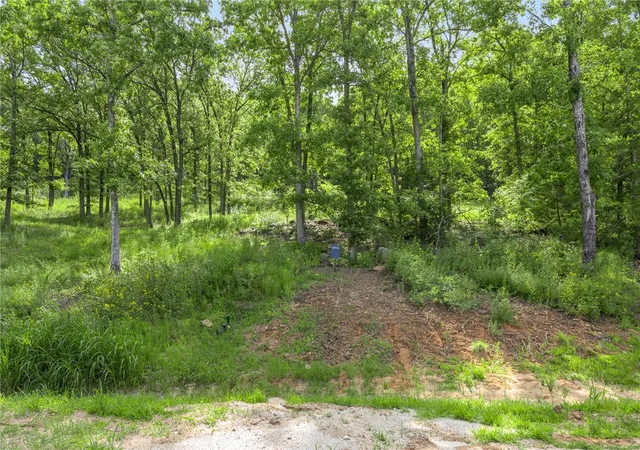 Photo 2 of Land for sale at Lot 63 Restore Ridge, Harrison, AR 72601 | MLS# 1291942 | Listing updated on 2026-09-09