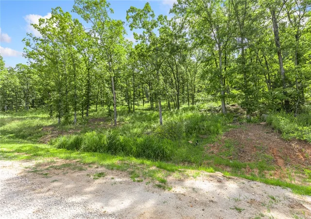 Photo 3 of Land for sale at Lot 63 Restore Ridge, Harrison, AR 72601 | MLS# 1291942 | Listing updated on 2026-09-09