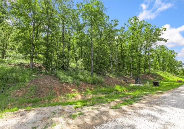 Photo 3 of Land for sale at Lot 63 Restore Ridge, Harrison, AR 72601 | MLS# 1291942 | Listing updated on 2026-09-09