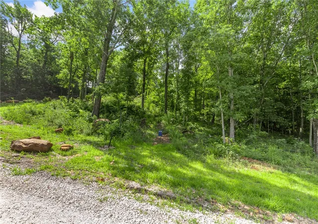 Photo 2 of Land for sale at Lot 100 Restore Ridge, Harrison, AR 72601 | MLS# 1292022 | Listing updated on 2026-09-09