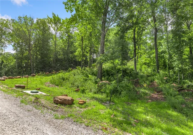 Photo 3 of Land for sale at Lot 100 Restore Ridge, Harrison, AR 72601 | MLS# 1292022 | Listing updated on 2026-09-09