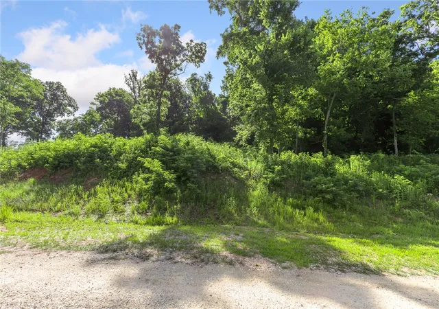 Photo 2 of Land for sale at Lot 106 Peaceful Pl, Yellville, AR 72687 | MLS# 1292044 | Listing updated on 2026-09-09
