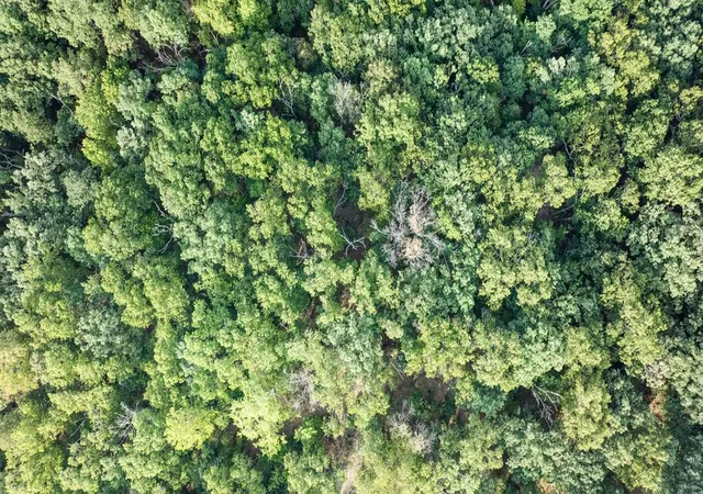 Photo 2 of Land for sale at Lot 13 Block 2 Stilton Ln, Bella Vista, AR 72714 | MLS# 1294564 | Listing updated on 2026-09-03