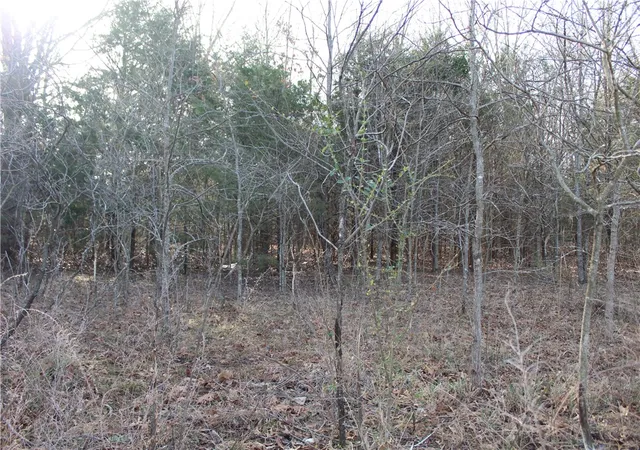 Photo 3 of Land for sale at 761-00014-000 Falltime Dr, Bull Shoals, AR 72619 | MLS# 1301268 | Listing updated on 2026-09-09