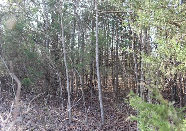 Photo 3 of Land for sale at 761 00013 000 Falltime Dr, Bull Shoals, AR 72619 | MLS# 1301281 | Listing updated on 2026-09-09