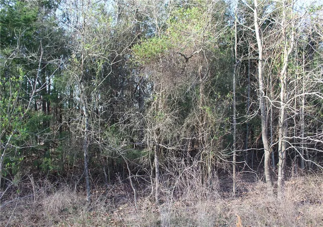 Photo 3 of Land for sale at 761-00013-000 Falltime Dr, Bull Shoals, AR 72619 | MLS# 1301281 | Listing updated on 2026-09-09