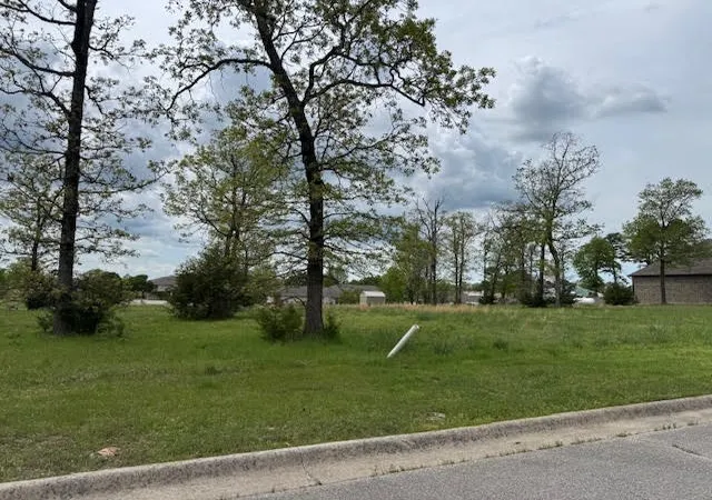 Photo 3 of Land for sale at 47 Park Dr, Holiday Island, AR 72631 | MLS# 1305954 | Listing updated on 2026-09-09