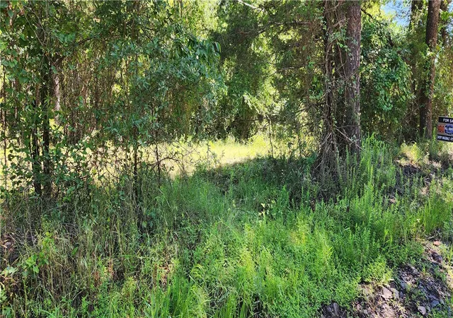 Photo 4 of Sale Pending at Tbd Slo Fork Rd, Dardanelle, AR 72834 | MLS# 1308164 | Listing updated on 2026-08-31