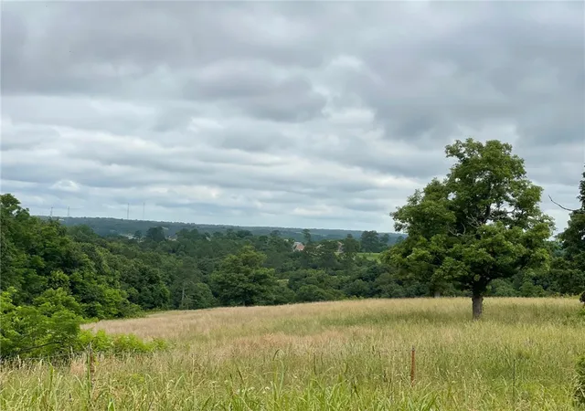Photo 1 of Land for sale at 167 Ac Turkey Ridge Ct, Pineville, MO 64854 | MLS# 1308534 | Listing updated on 2026-09-03