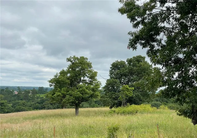 Photo 2 of Land for sale at 167 Ac Turkey Ridge Ct, Pineville, MO 64854 | MLS# 1308534 | Listing updated on 2026-09-03