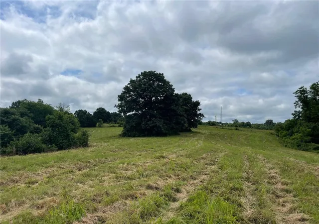 Photo 3 of Land for sale at 167 Ac Turkey Ridge Ct, Pineville, MO 64854 | MLS# 1308534 | Listing updated on 2026-09-03