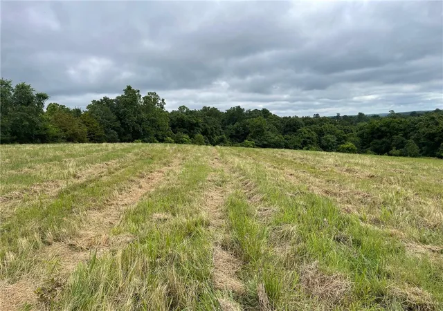 Photo 3 of Land for sale at 167 Ac Turkey Ridge Ct, Pineville, MO 64854 | MLS# 1308534 | Listing updated on 2026-09-03