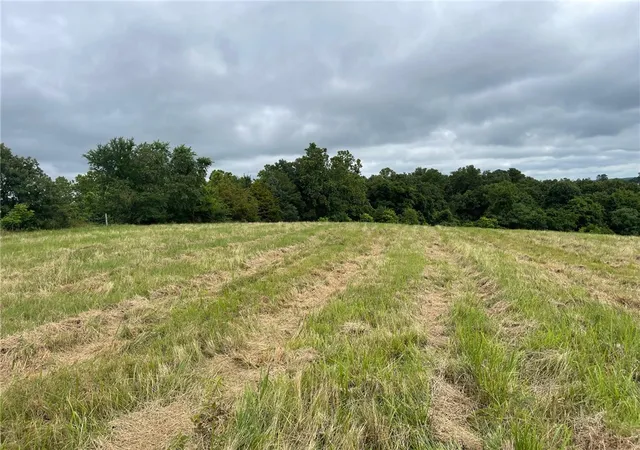 Photo 4 of Land for sale at 167 Ac Turkey Ridge Ct, Pineville, MO 64854 | MLS# 1308534 | Listing updated on 2026-09-03
