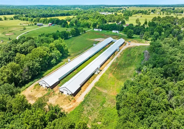 Photo 1 of Land for sale at 0000 Cripps Rd, Gentry, AR 72734 | MLS# 1311735 | Listing updated on 2026-09-05