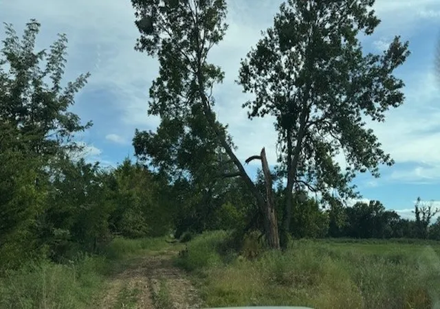 Photo 3 of Land for sale at 608 W Holt, Lincoln, AR 72744 | MLS# 1320037 | Listing updated on 2026-09-01