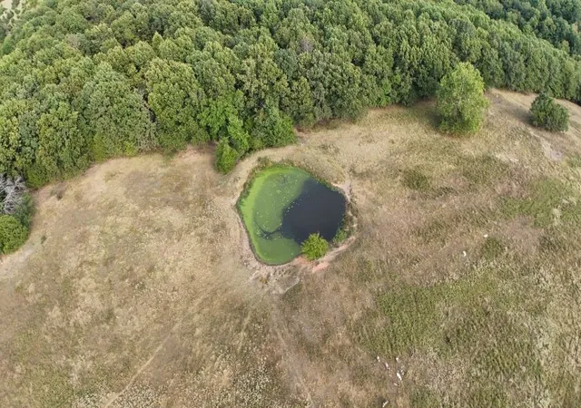 Photo 3 of Land for sale at 445 Hudspeth Ln, Yellville, AR 72687 | MLS# 1321994 | Listing updated on 2026-09-09