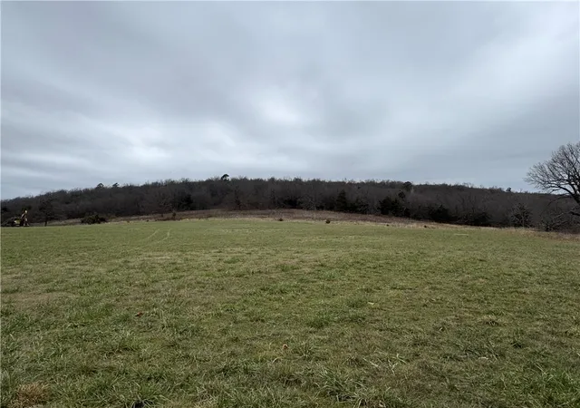 Photo 4 of House for sale at Tract B Nicewarner Rd, Lincoln, AR 72744 | MLS# 1322634 | Listing updated on 2026-09-23