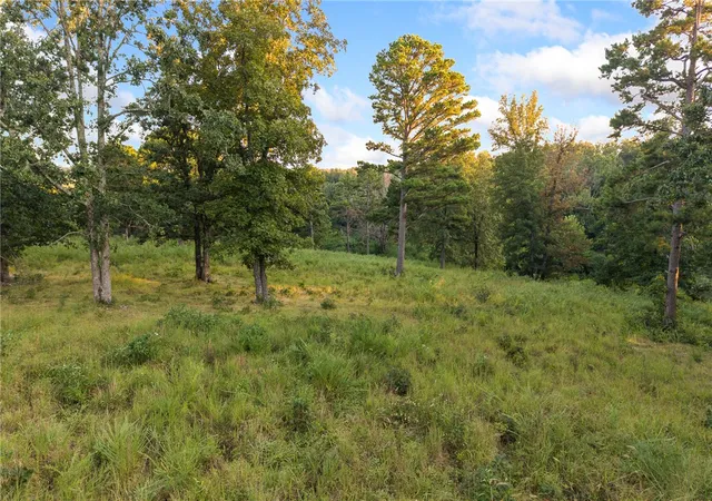 Photo 3 of Land for sale at Wilson Springs Rd, Harrison, AR 72601 | MLS# 1323974 | Listing updated on 2026-08-31