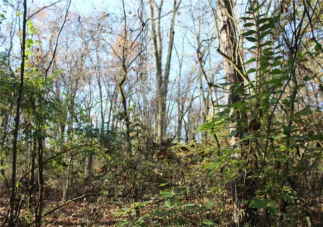 Photo 3 of Sale Pending at 001-04740-000 Mc 5045, Yellville, AR 72687 | MLS# 1329333 | Listing updated on 2026-09-14