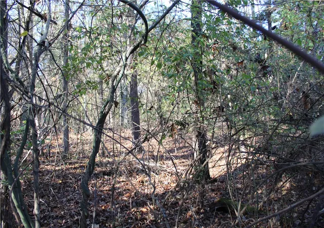 Photo 4 of Sale Pending at 001-04740-000 Mc 5045, Yellville, AR 72687 | MLS# 1329333 | Listing updated on 2026-09-14