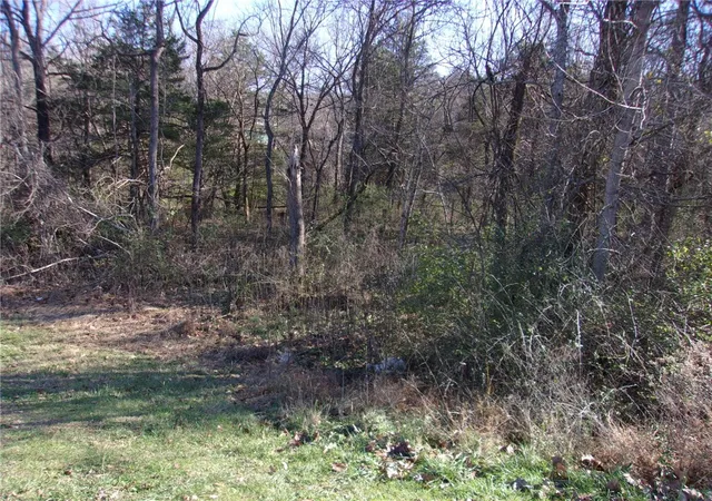 Photo 4 of Land for sale at Tbd Hwy 71 B, Winslow, AR 72959 | MLS# 1330088 | Listing updated on 2026-09-11