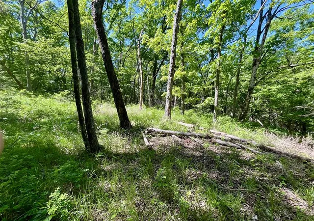 Photo 1 of Land for sale at Tbd Thunderbird Ln, Holiday Island, AR 72631 | MLS# 1330349 | Listing updated on 2026-10-06