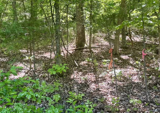 Photo 2 of Land for sale at Tbd Thunderbird Ln, Holiday Island, AR 72631 | MLS# 1330349 | Listing updated on 2026-10-06